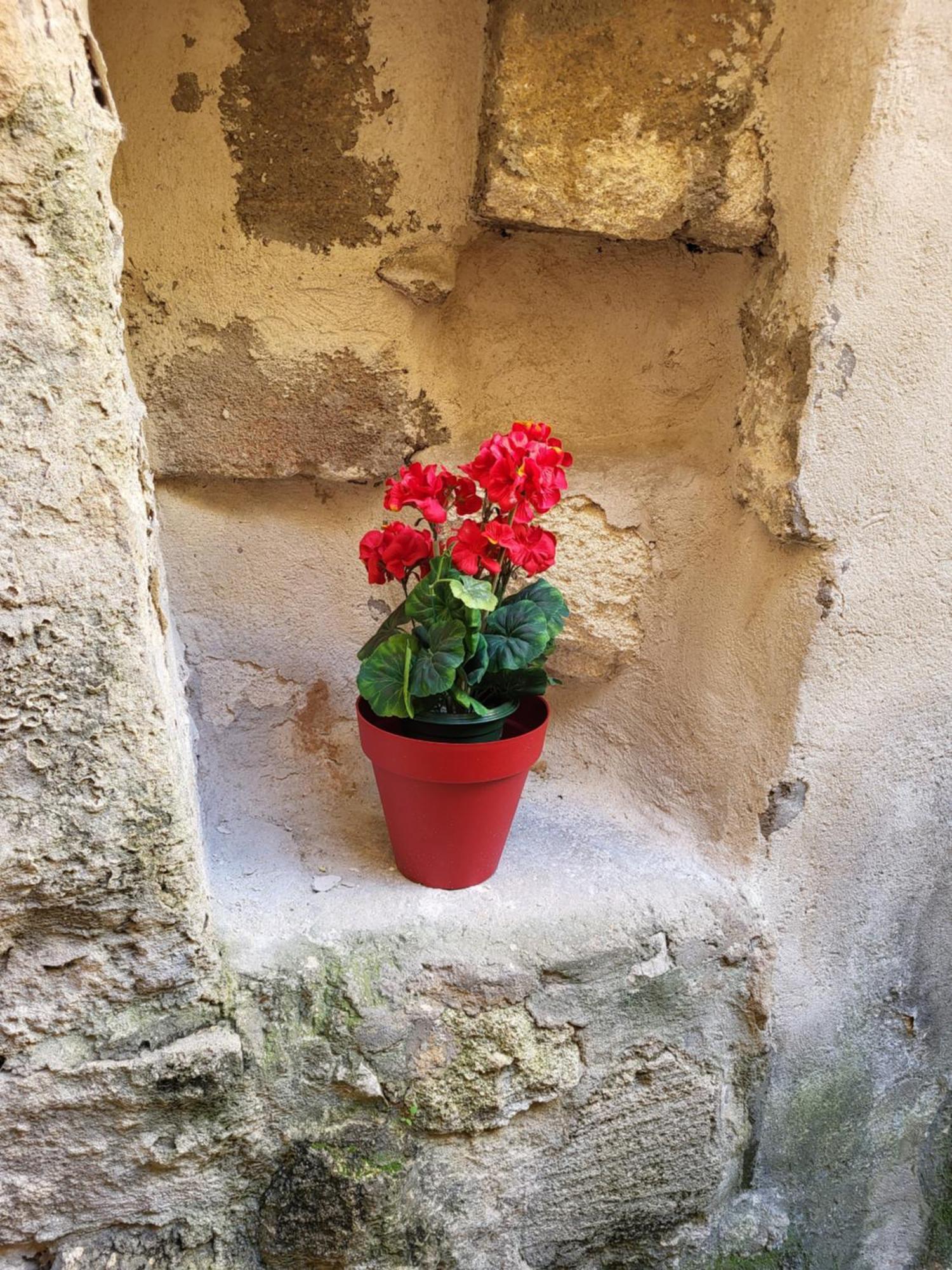 Studio/2 Pieces, Terrasse Avignon Exterior foto